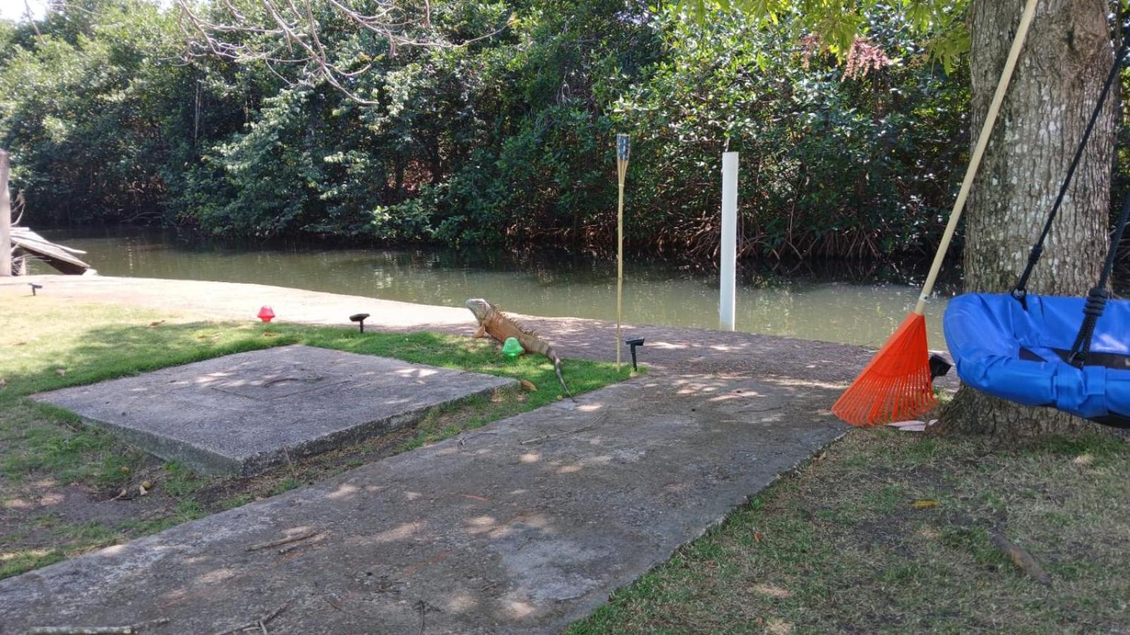 Bamboleo Inn Ladyville ภายนอก รูปภาพ